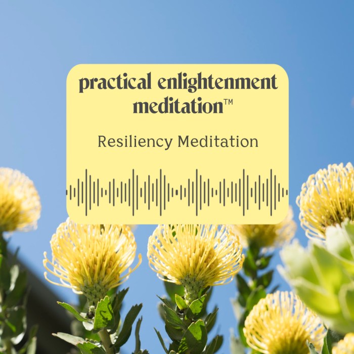 Mindful resilience