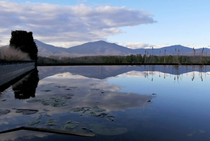 5 Simple Meditation Practices for Beginners