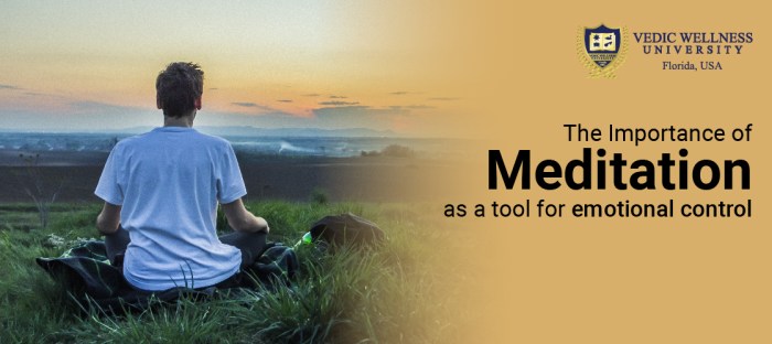 Instantly awaken energetic sense Instantly awaken energetic sense